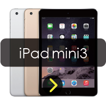 iPad mini3